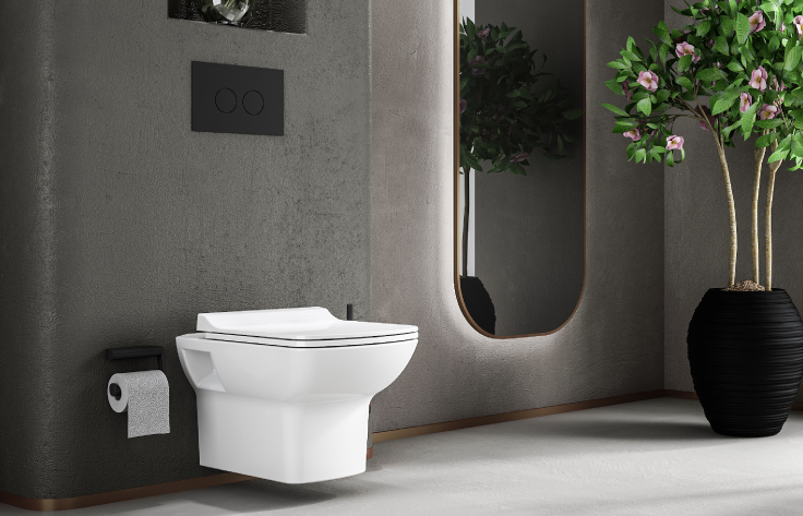 Accessories (Complementary Products)